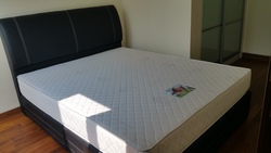 Alexis (D3), Apartment #172644442